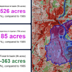 image shows map of land cover classification with statistics