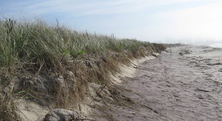 beach and dunes in Waterford, CT