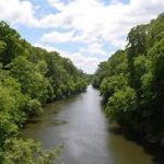 photo of a stream with vegetation on both sides