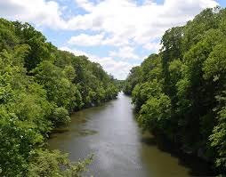 photo of a stream with vegetation on both sides