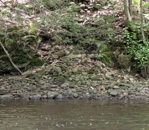 Example of erosion in a riparian zone with a slumping bank.